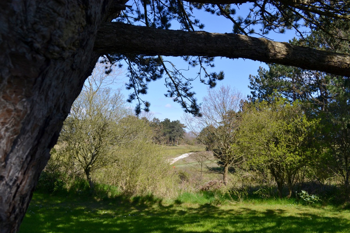DSC_0039_6.jpg