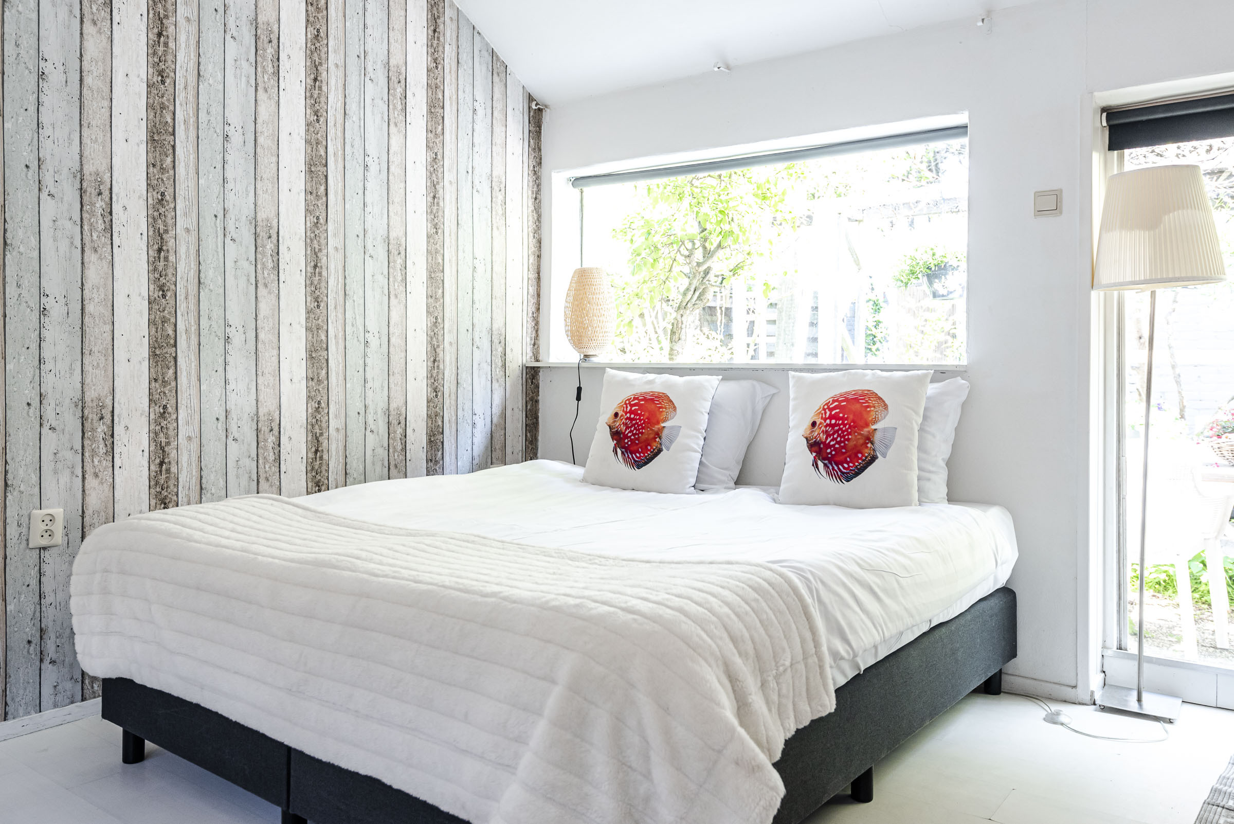 2481F32B_6260_4D5C_A7E9_625F5D7DFC2B.jpeg 2481F32B_6260_4D5C_A7E9_625F5D7DFC2B.jpeg